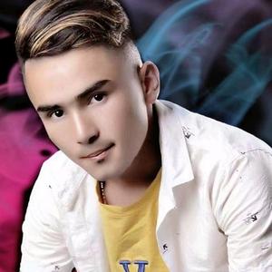 欧美日韩一级电影
